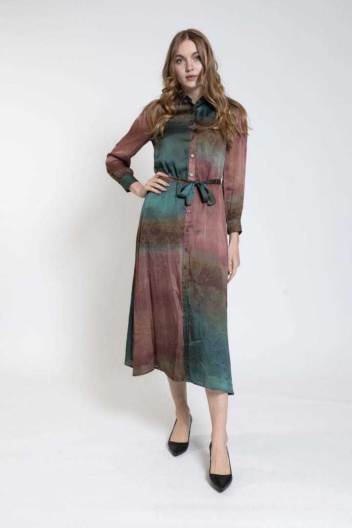 Brown Base Multicolor Printed Shirt Dress